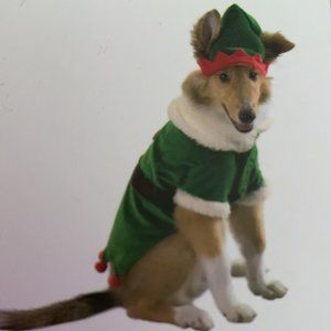 Dog elf Costume